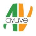 Ayuve - agencias consultoras SEO en Guadalajara