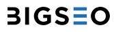 Bigseo - agencias consultoras SEO en Barcelona