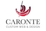 Caronte Web Studio - agencias consultoras SEO en Vitoria