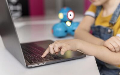SEO para colegios